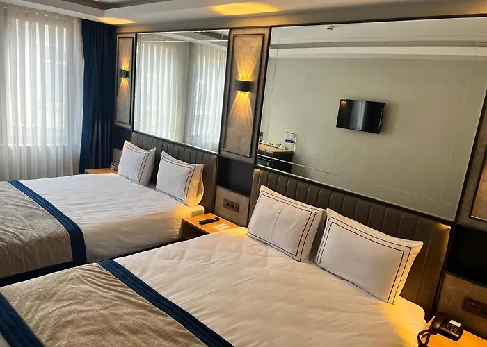 酒店 Taksim Pera Orient 3*